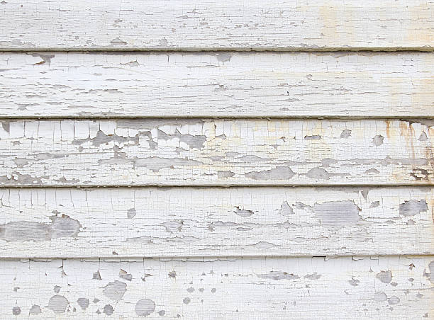 Trusted Capitol View, SC Junk Removal Experts