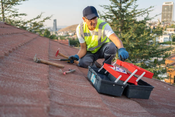 Best Hoarding Cleanup  in Capitol View, SC